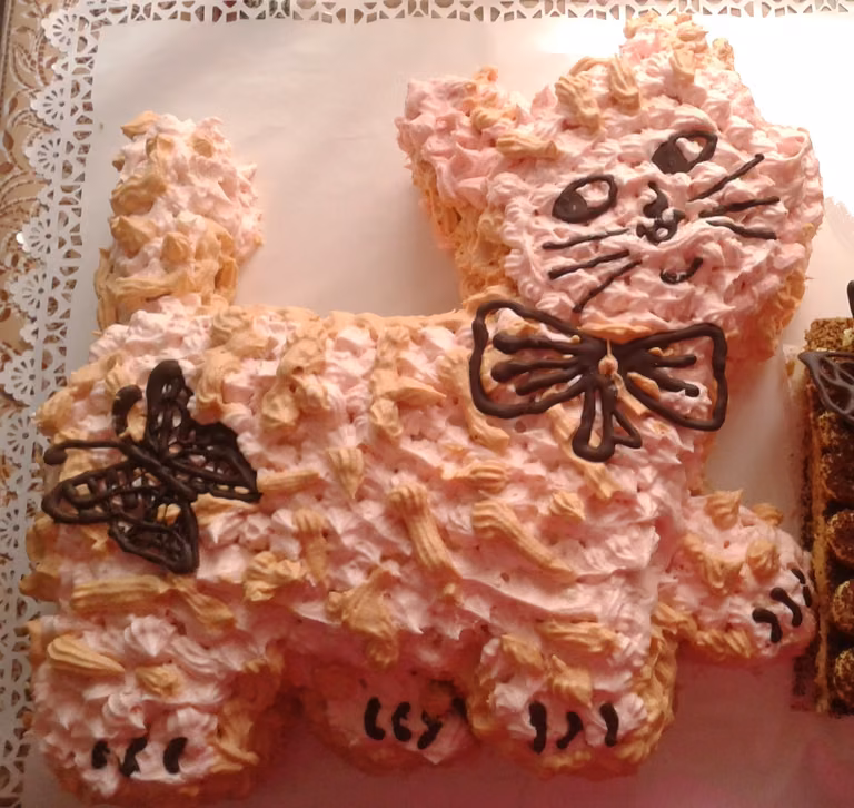 Tort Kotek