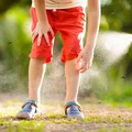 Jak pozbyć się owadów bez chemii? Odkryj 5 domowych sposobów