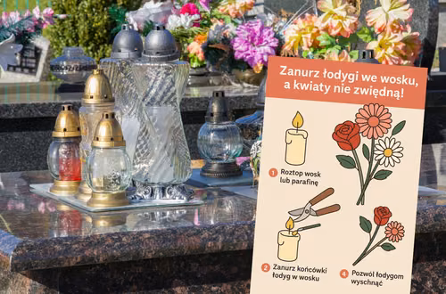Zanurz łodygi we wosku, a kwiaty nie zwiędną! Stary florystyczny trik, który naprawdę działa!