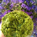 Pesto z jarmużu