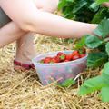 Praca sezonowa na wakacje! Można zarobić nawet 7 tysięcy miesięcznie!