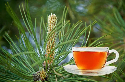 Dodaj ten składnik do swojej herbaty!  Przygotuj zdrowotny napar na stres i osłabienie.