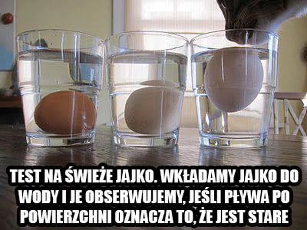 Trik na sprawdzenie świeżości jajek