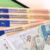 Prawo jazdy tylko dla bogatych? Młodzi coraz częściej rezygnują!