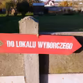 Wybory 2023: Jak zagłosować bez wychodzenia z domu? Jest na to sposób!