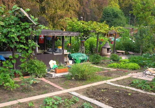 Od 1 lipca koniec ze starym systemem naliczania cen! Złe wiadomości dla działkowców