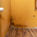 Wirusy i bakterie w domu- jak się ich pozbyć?