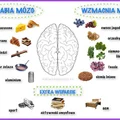 CO WZMACNIA – OSŁABIA MÓZG ?