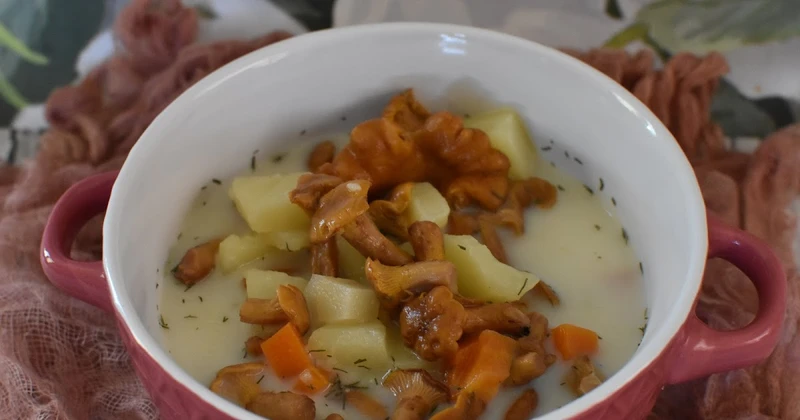 Zupa z kurek