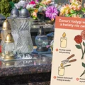 Zanurz łodygi we wosku, a kwiaty nie zwiędną! Stary florystyczny trik, który naprawdę działa!