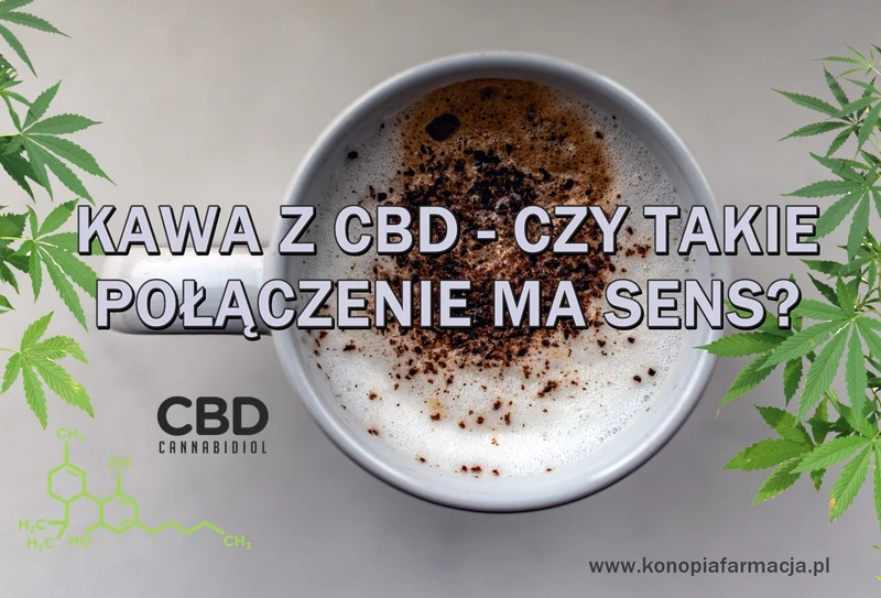 Czy takie połączenie ma sens?