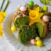 BABKA SZPINAKOWA