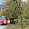 Huragan Ciara już w Polsce? Czy mamy się czego bać? Gdzie będzie wiało najmocniej?
