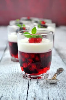 Galaretka z owocami i panna cotta