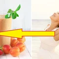 DIETA KOKTAJLOWA - w 7 dni spalisz tłuszcz!