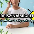CBD w walce z migreną - Konopna Farmacja