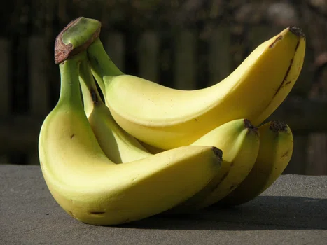 Dieta bananowa – 1 kg mniej dziennie. W czym tkwi sekret japońskiego wynalazku?