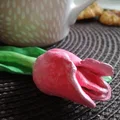 Tulipan z gliny samoutwardzalnej