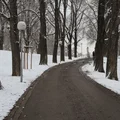 Drastyczne ochłodzenie nad Polską! Pojawi się również śnieg!