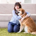 Nawet 700 zł dla osób adoptujących psa lub kota! Nowy program wsparcia