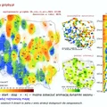 Gdzie najlepiej wybrać się na grzyby? Sprawdź mapę występowania grzybów.