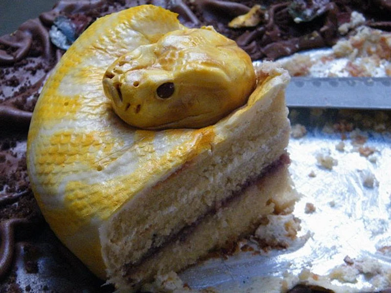 Torcik wąż