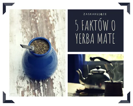 5 faktów o yerba mate