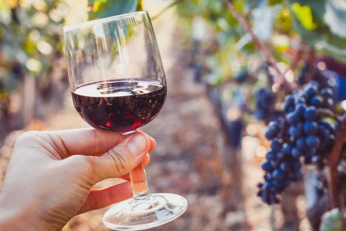 Co się stanie, jeżeli będziesz pić lampkę wina dziennie?