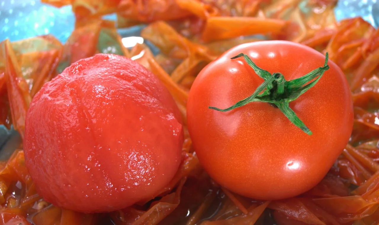 JAK OBRAĆ pomidora?