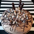 Tort pralinowy