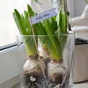 DIY kwiatowa ozdoba na WIELKANOC