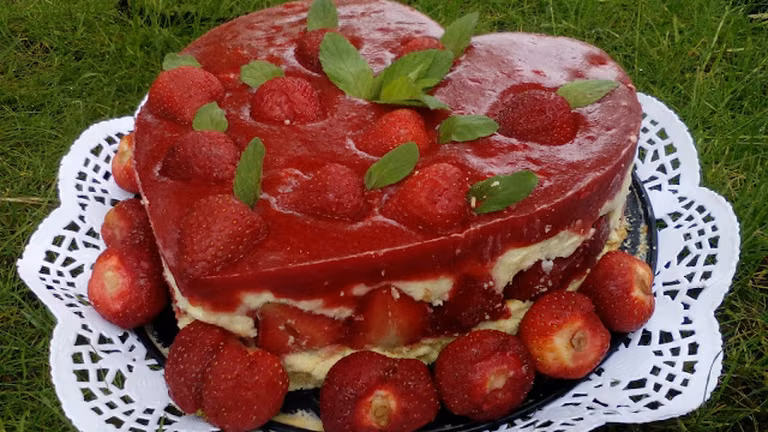 Ciasto z truskawkami i masą budyniową