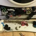 Znowu zgubiłeś skarpetki w pralce? Wiemy gdzie są!