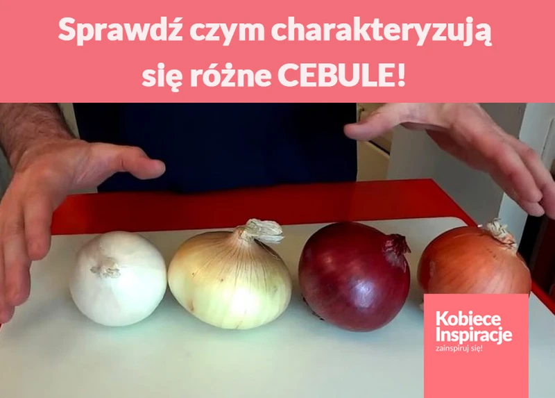 Sprawdź czym charakteryzują się różne CEBULE!