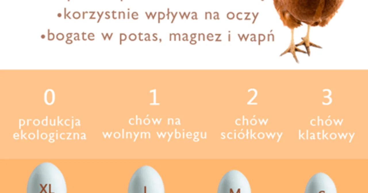 Jak wybrać jajko