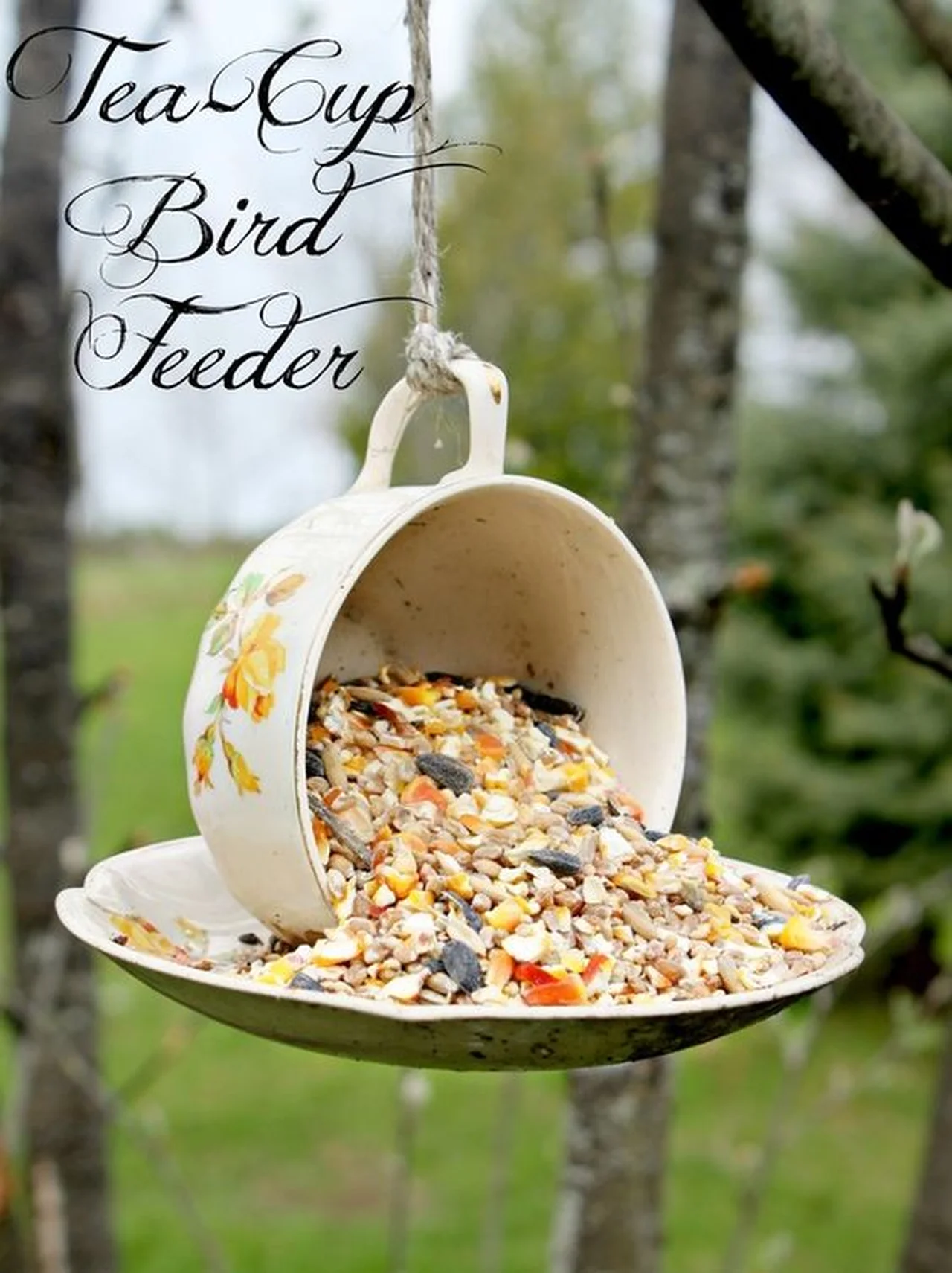 Pomysłowy karmnik dla ptaków