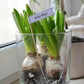 DIY kwiatowa ozdoba na WIELKANOC