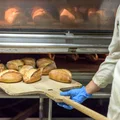 Dzień Piekarza – Święto, które Łączy Smaki i Tradycje