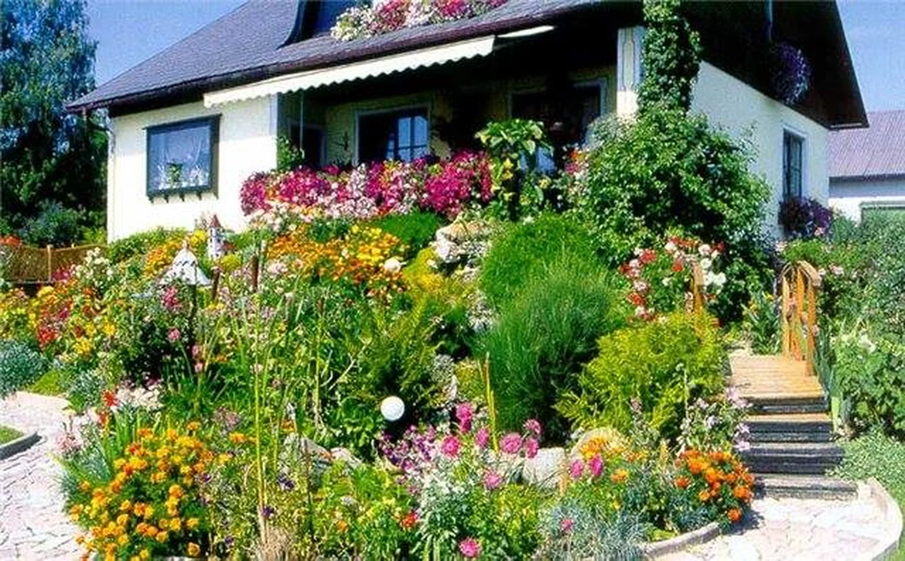 Piękne kwiaty przed domem