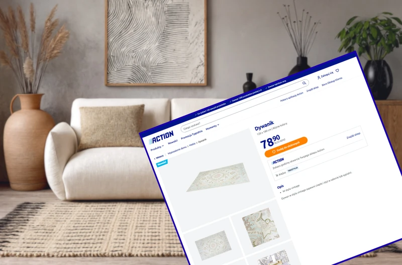 Dopiero co pojawił się w ofercie Action, a już robi furorę! Ten dywan za 78 zł odmieni nudne wnętrze - styl premium na grosze