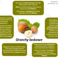 Orzechy laskowe