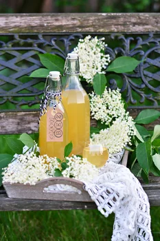 Syrop z kwiatów bzu czarnego - naturalny lek na przeziębienie (i wzmacnianie odporności)