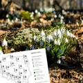 Wiosna 2023: kiedy nadejdzie? Jaka będzie pogoda?
