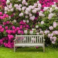 Ławka otoczona kwiatami - romantyczne miejsce w twoim ogrodzie