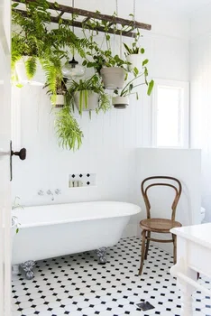 Wiszące rośliny w łazience