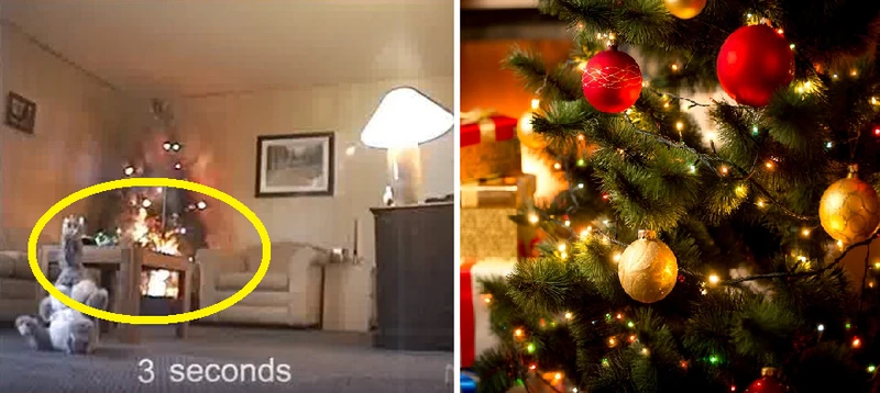 Zawsze wyłączaj lampki choinkowe na noc i podlewaj choinkę.  Zobacz co może się stać!(VIDEO)