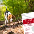 Alert RCB dla właścicieli psów i kotów! Omijaj to szerokim łukiem i nigdy nie dotykaj!
