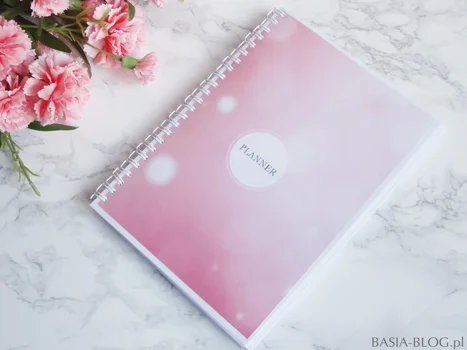 DIY planner/organizer