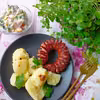 KIEŁBASA " JEŻYK "