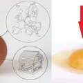 Czy jaja od kur z różnych chowów naprawdę różnią się jakością?